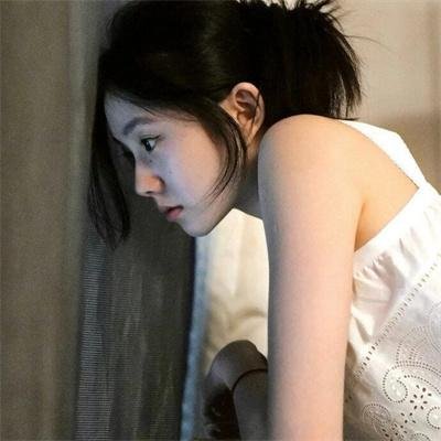斑马头