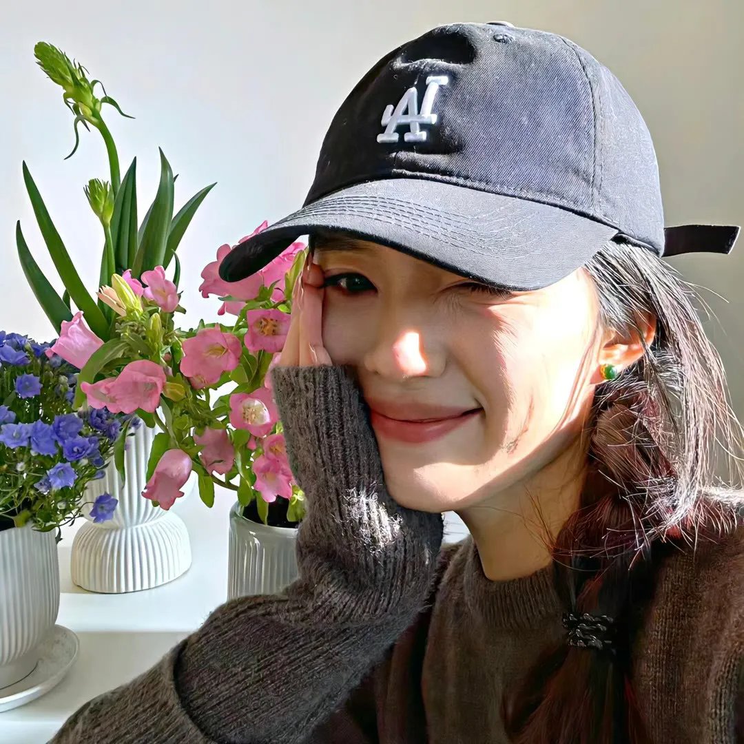 孔雀南飞