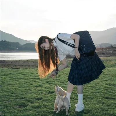 英伦琵琶